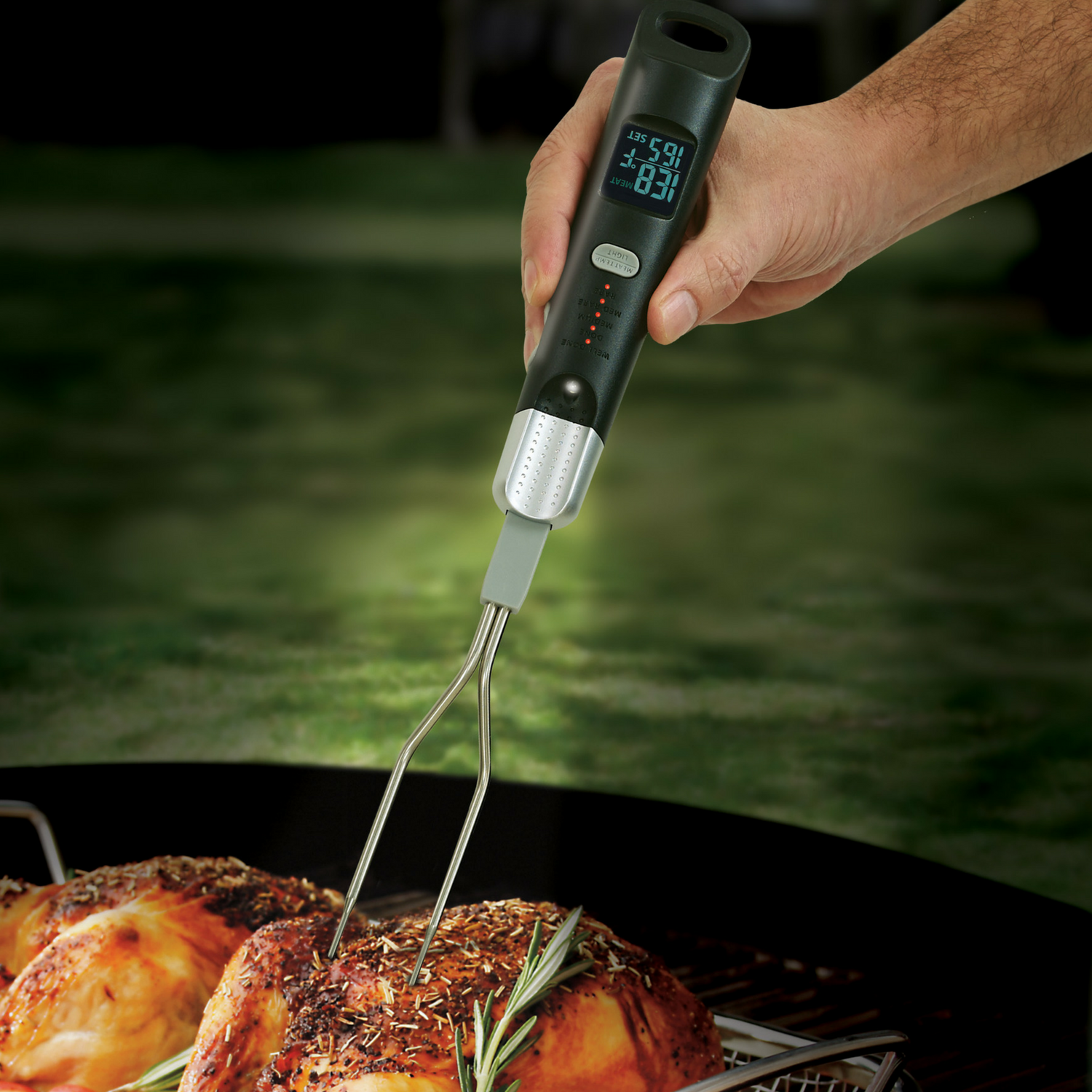 DF-10 Instant-Read BBQ & Meat Thermometer Fork